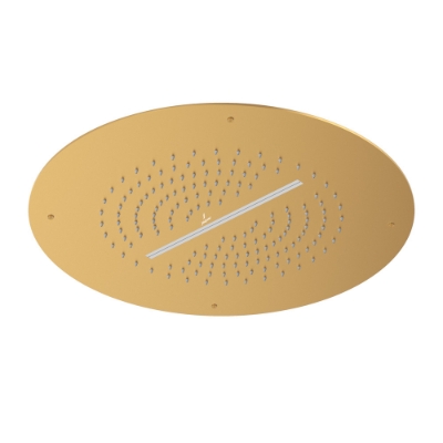 Picture of Duoflo Shower Round Shape - Gold Matt PVD