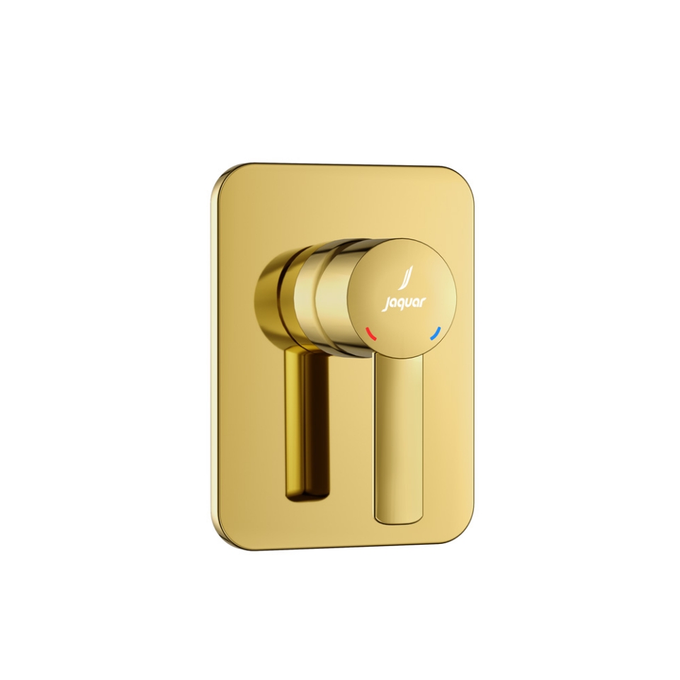 Picture of Exposed Part Kit of Single Lever In-wall Manual Valve - Gold Bright PVD